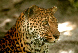 Zoos und Wildparks