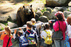 Bär mit Kindern<br>(c) Zoo Eberswalde