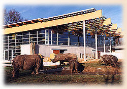Nashornhaus<br>(c) Thüringer Zoopark