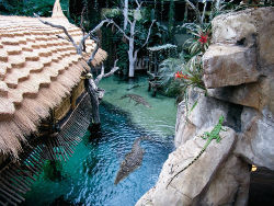 Krokodil-See-Tropen-Aquarium<br>©Hagenbeck