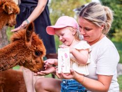 Auf der Alpaka-Streichelwiese 
(c) Jaderpark