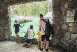 Unterwasser-Sicht Wasserwelten<br>(c) Zoo Osnabrück